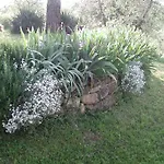 بيت للعطل Poggio Borgoni Mercatale Val Di Pesa