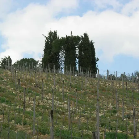 بيت للعطل Poggio Borgoni